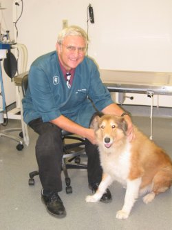 Normal Veterinarian - Town & Country Animal Hospital in Normal, IL :: Meet  Our Team